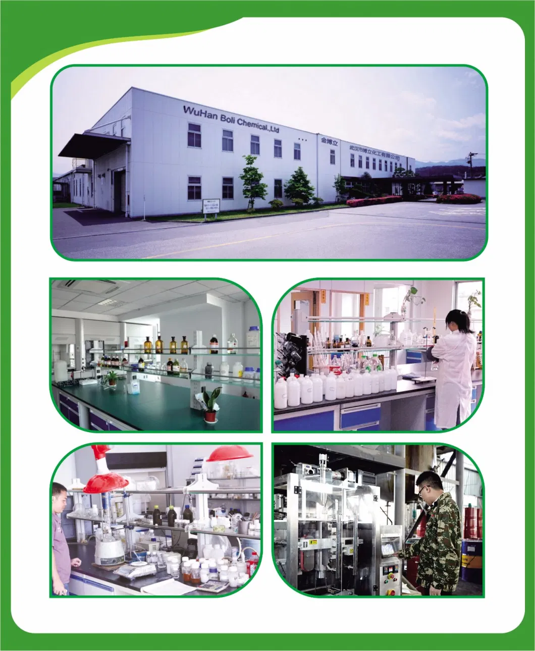 China Supplier Non-Toxic No Pollution Wallpaper Glue Powder